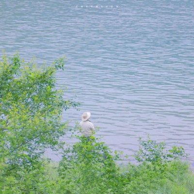 兽设校园场景创作福瑞交流群